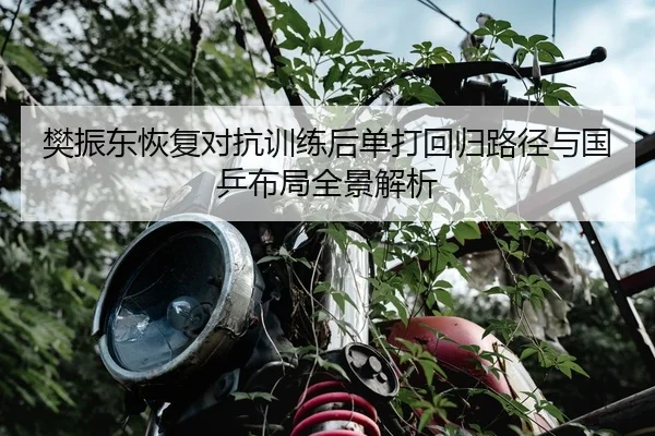 樊振东恢复对抗训练后单打回归路径与国乒布局全景解析